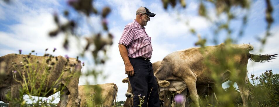 Farmer Who Lost All to PFAS Inspires Law to Get Day in Court 1 Farmer Who Lost All to PFAS Inspires Law to Get Day in Court